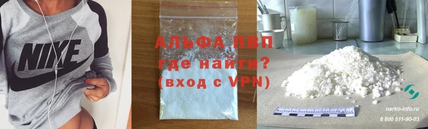 стаф Богданович