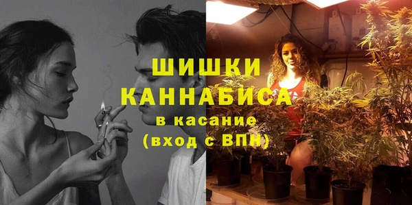 бошки Богородицк