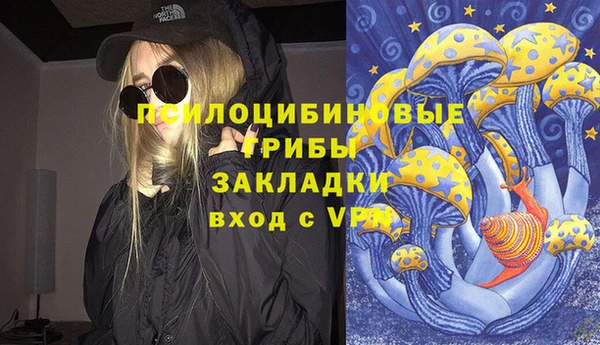 меф Арсеньев
