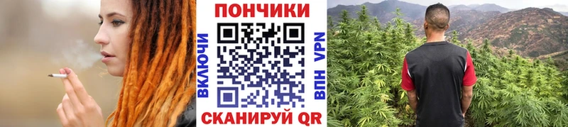 Конопля ГИДРОПОН Тогучин